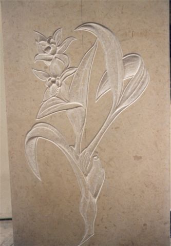 Orchideen in Bale