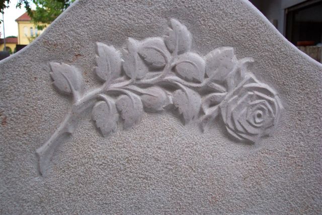 Rose in Comblancien