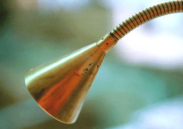Detail Muschelkalklampe